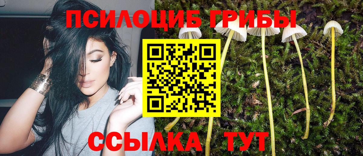 Галлюциногенные грибы Magic Shrooms Краснодар