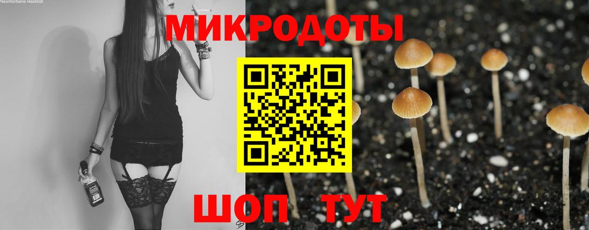 Псилоцибиновые грибы MAGIC MUSHROOMS  Галлюциногенные грибы MAGIC MUSHROOMS  Вход с VPN  Краснодар 